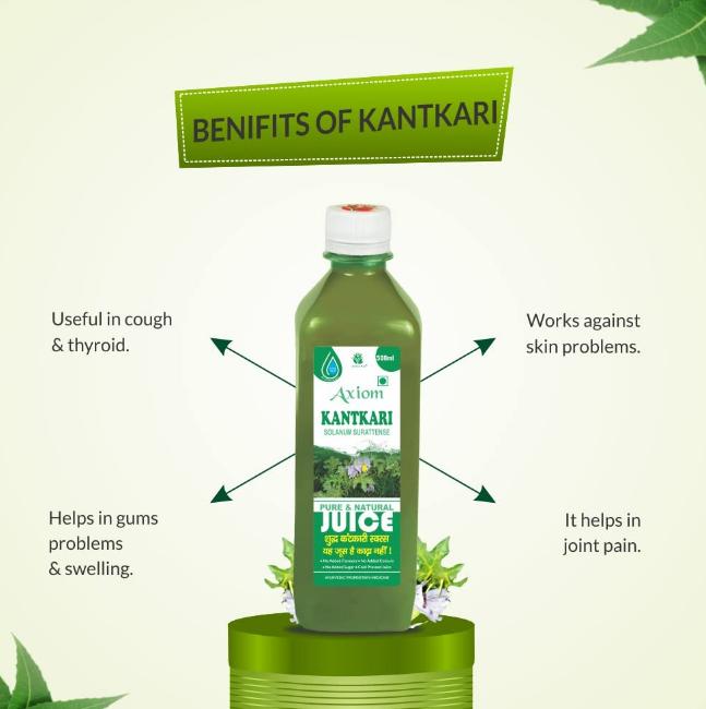 Kantkari Juice 500ml Ayurvedic Juice-Stumbit Health